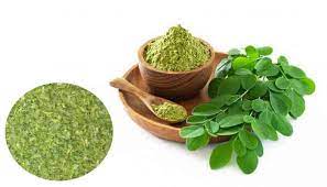 Moringa :Health benefits of drumstick powder:शेवग्याचे फायदे जाणून व्हाल आश्चर्यचकित;शेवग्याचे ३६ घरगुती उपाय